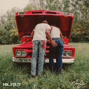 Mae Estes "Mr. Fix It" Cover Art